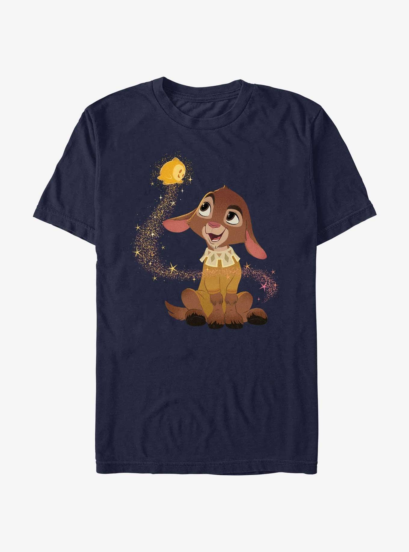 Disney Wish Make A Wish Star and Valentino T-Shirt