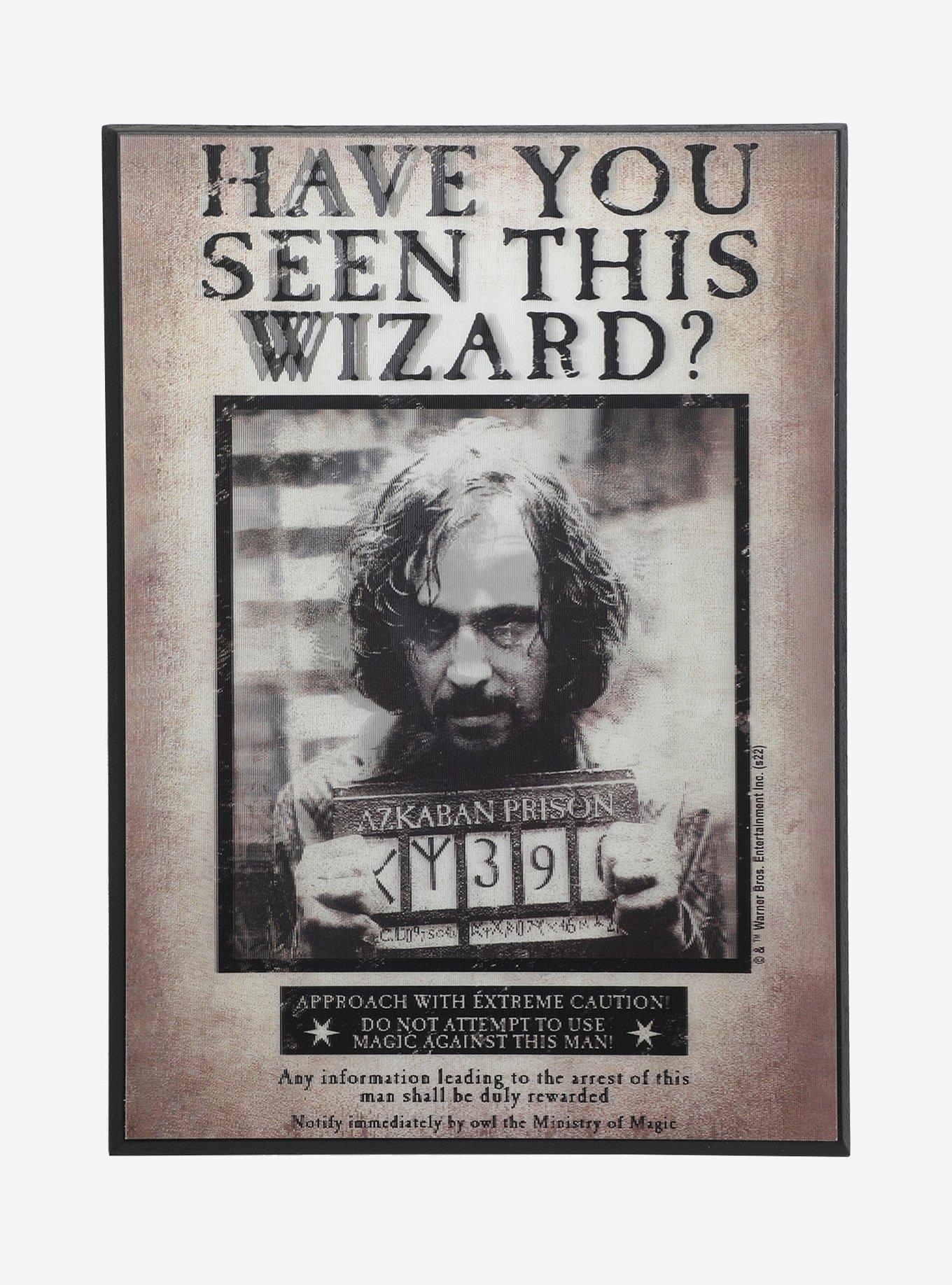 Hot Topic Harry Potter Have You Seen This Wizard? Lenticular Wood Wall ...