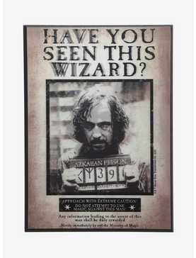 Harry Potter Have You Seen This Wizard? Lenticular Wall Art, , hi-res