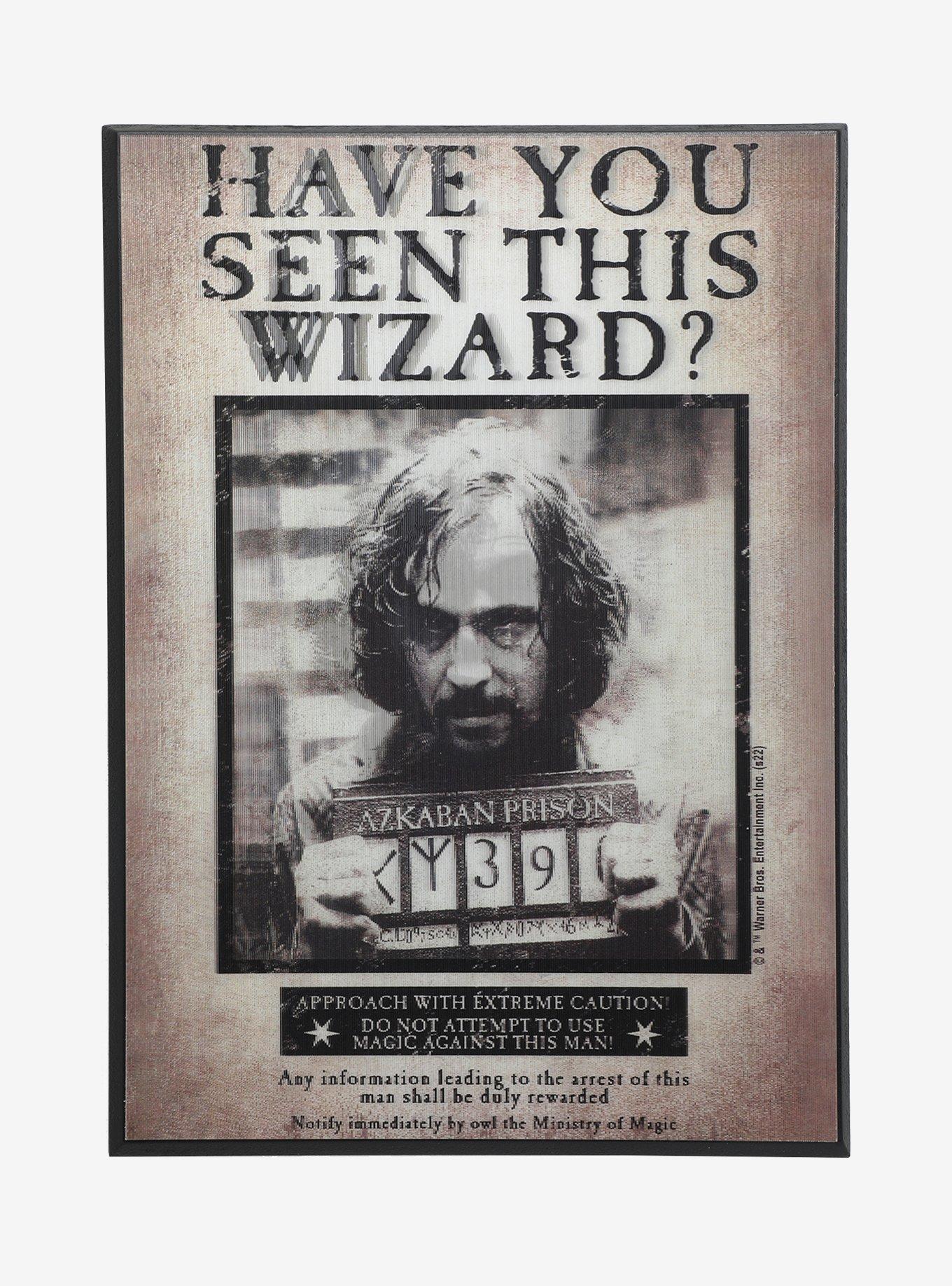 Harry Potter Have You Seen This Wizard? Lenticular Wall Art, , hi-res