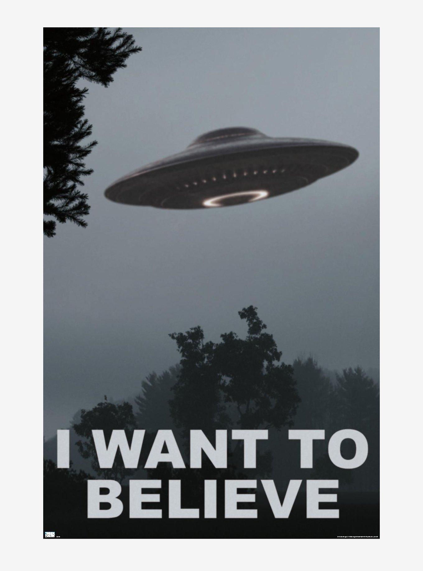 Alien Want To Believe UFO Poster, , hi-res