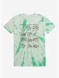 Frogs Of North America Chart Tie-Dye T-Shirt, GREEN, hi-res
