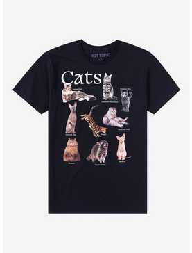 Cats Chart T-Shirt, , hi-res