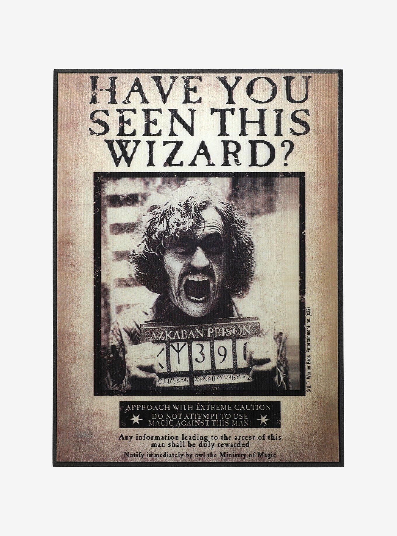 Harry Potter Sirius Black Have You Seen This Wizard Lenticular Wall Art |  BoxLunch