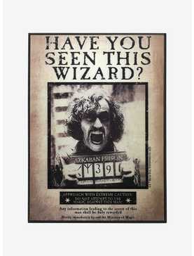 Harry Potter Sirius Black Have You Seen This Wizard Lenticular Wall Art, , hi-res
