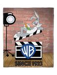 WB 100 Looney Tunes Since 1923 Silk Touch Throw, , hi-res