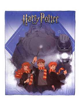 WB 100 Harry Potter Guide Us Hagrid Silk Touch Throw, , hi-res