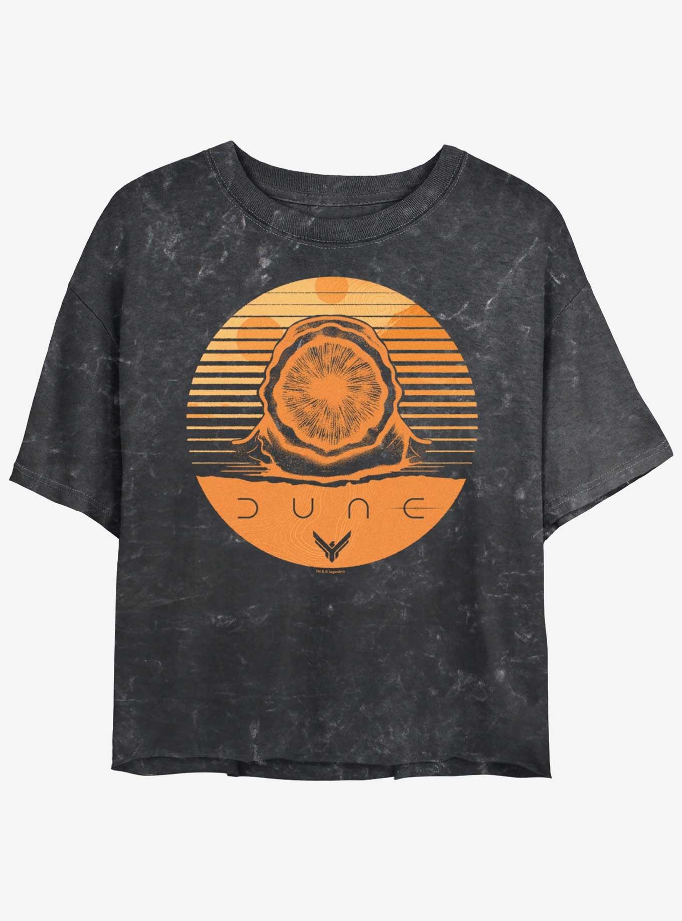Dune Arrakis Sandworm Stamp Mineral Wash Womens Crop T-Shirt, BLACK, hi-res