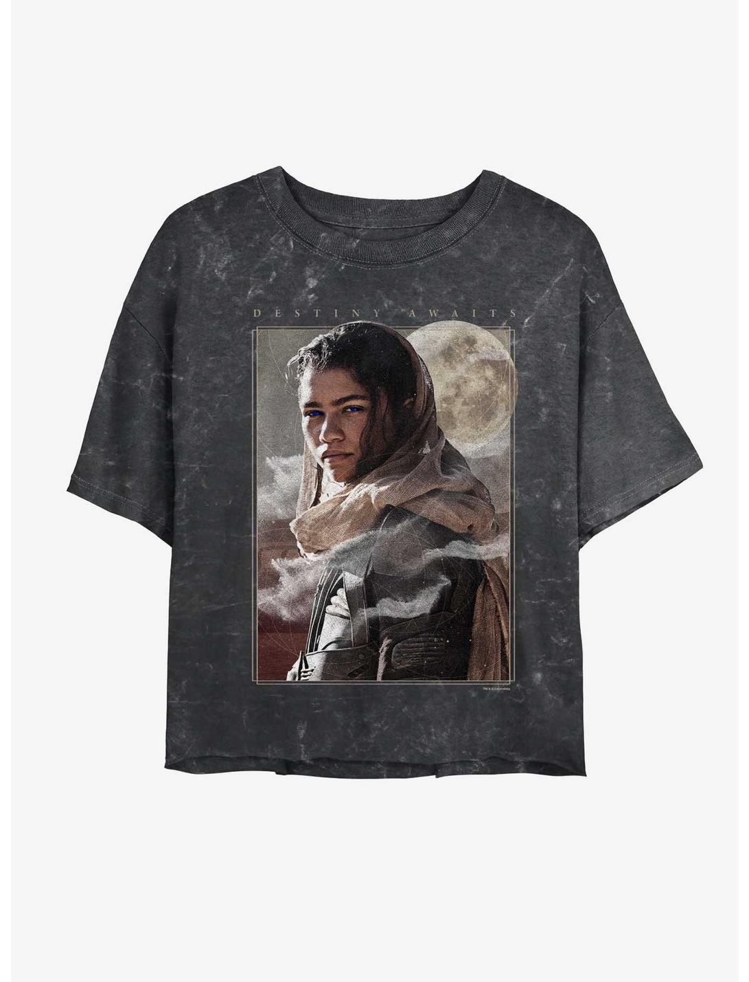 Dune Destiny Awaits Chani Mineral Wash Womens Crop T-Shirt, BLACK, hi-res
