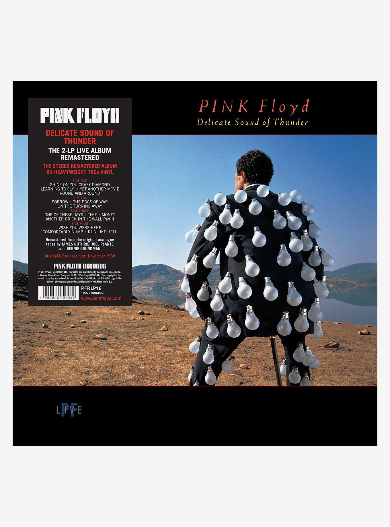 Pink Floyd Delicate Sound of Thunder Vinyl LP