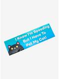 Need To Pet My Cat Bumper Sticker, , hi-res