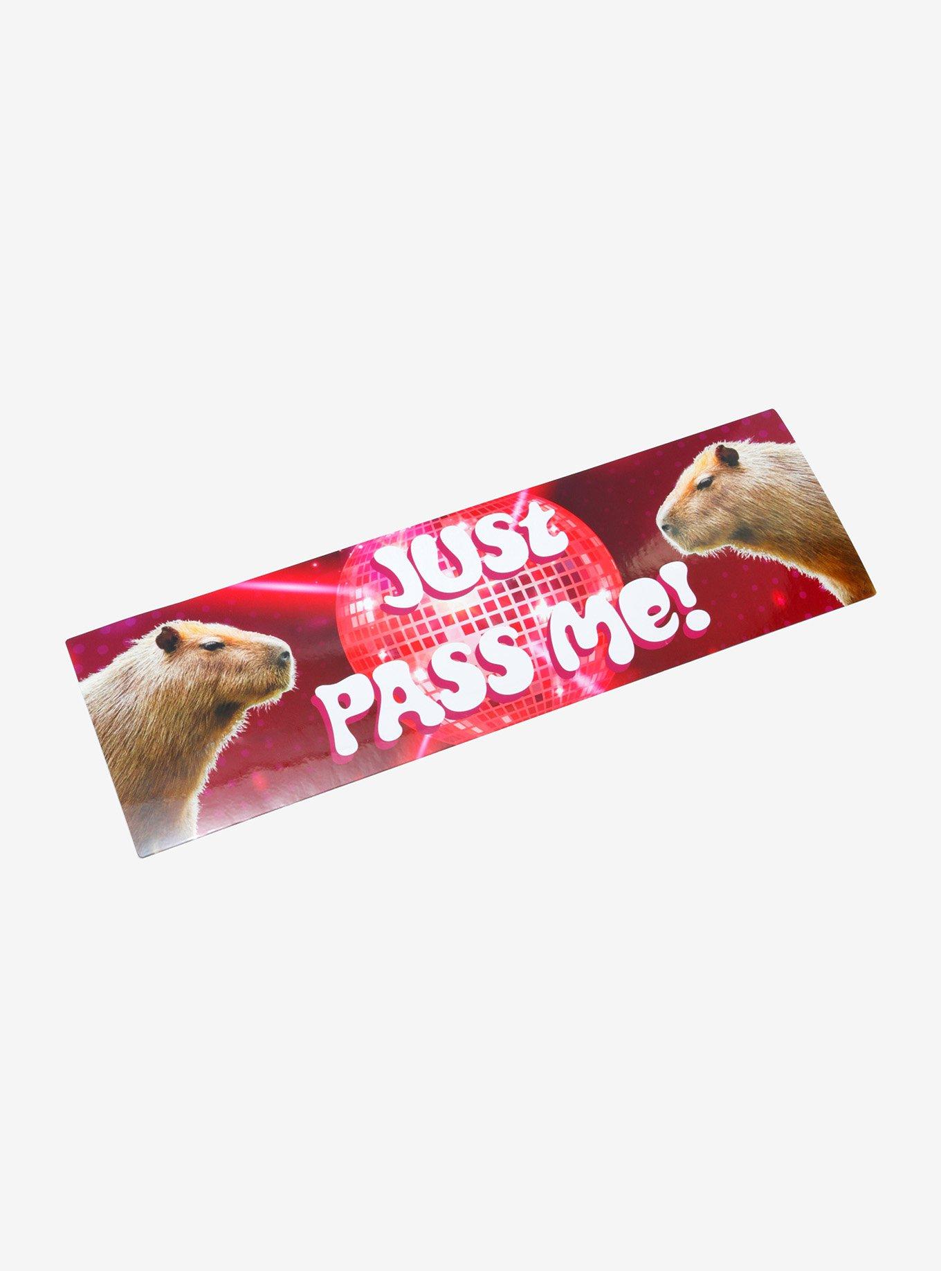 Capybara Disco Just Pass Me Bumper Sticker, , hi-res