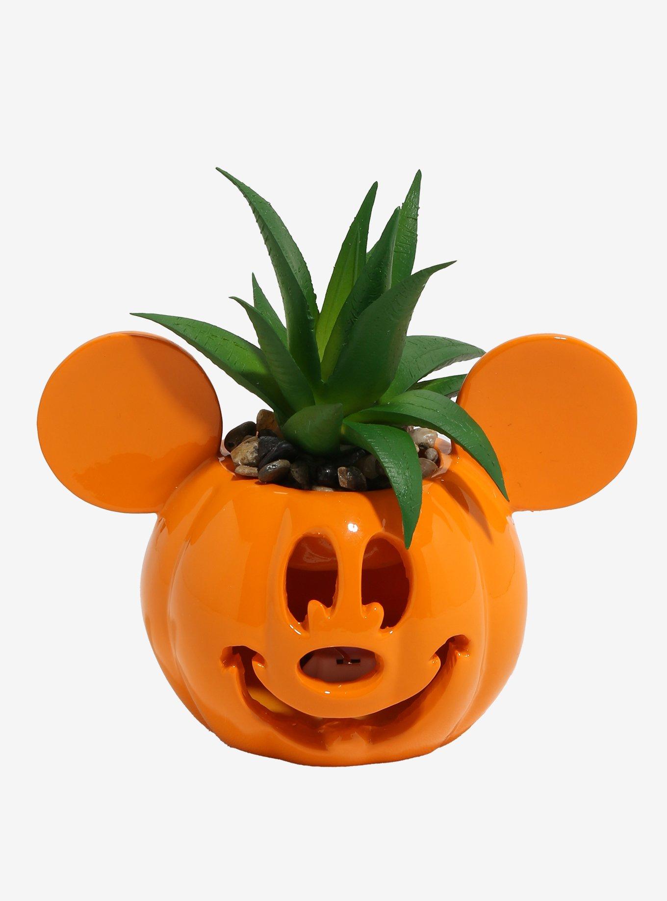 Disney Mickey Mouse Pumpkin Light-Up Faux Succulent Planter, , hi-res