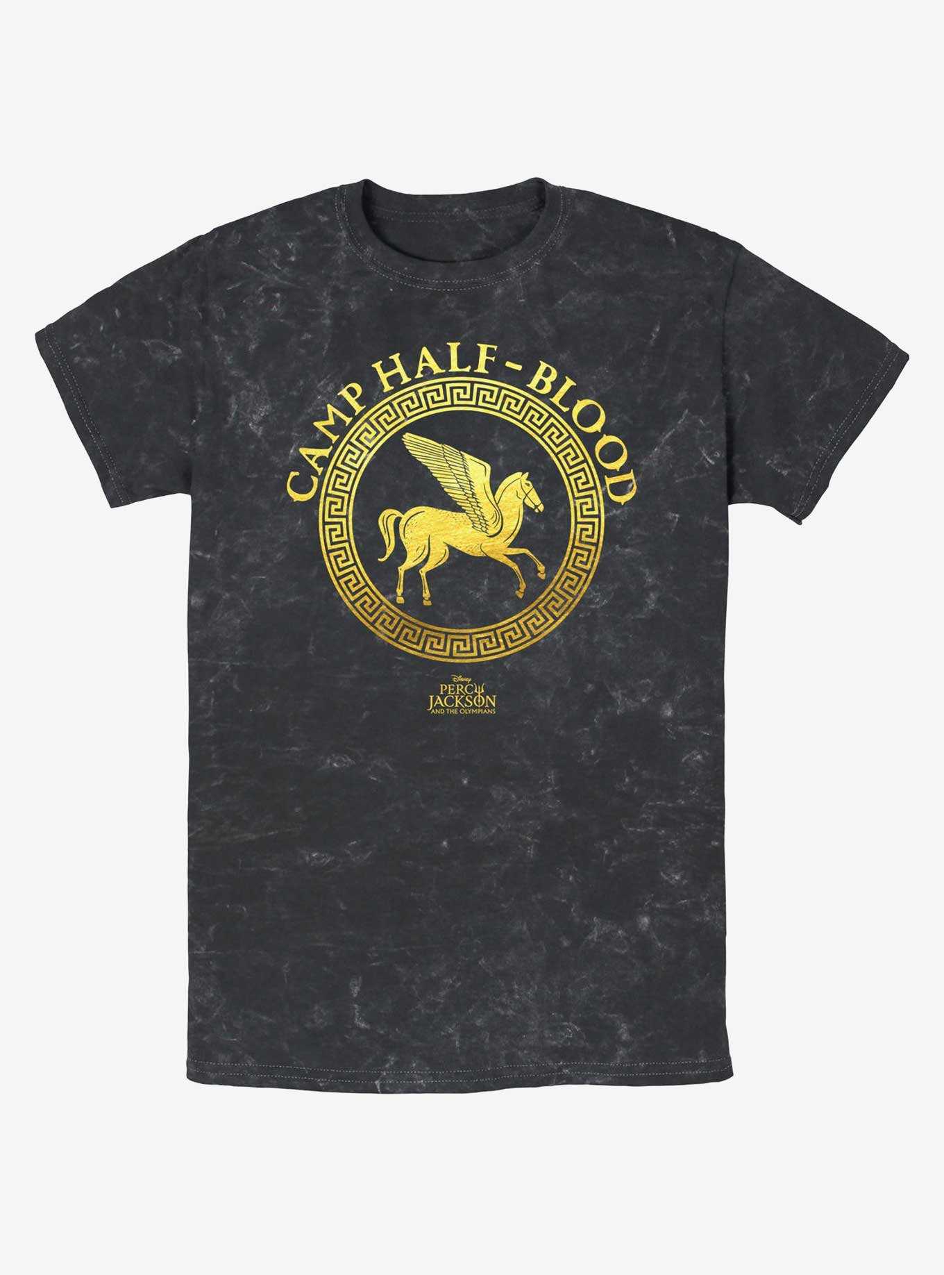 Disney Percy Jackson And The Olympians Camp Half Blood Emblem Logo Mineral Wash T-Shirt, , hi-res