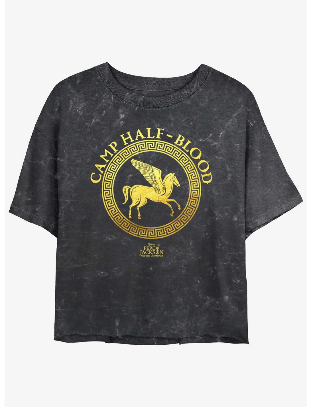Disney Percy Jackson And The Olympians Camp Half Blood Emblem Logo Mineral Wash Womens Crop T-Shirt, BLACK, hi-res