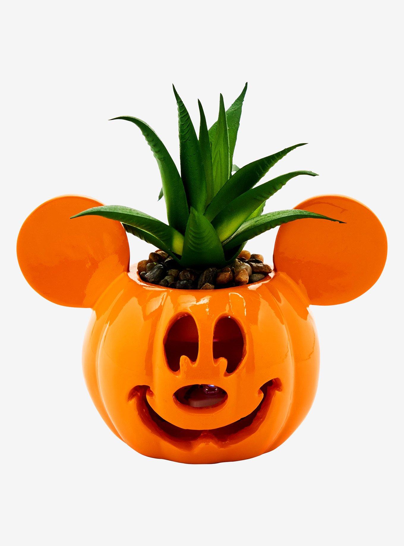 Disney Mickey Mouse Jack-o-Lantern Light-up Faux Succulent Planter, , hi-res