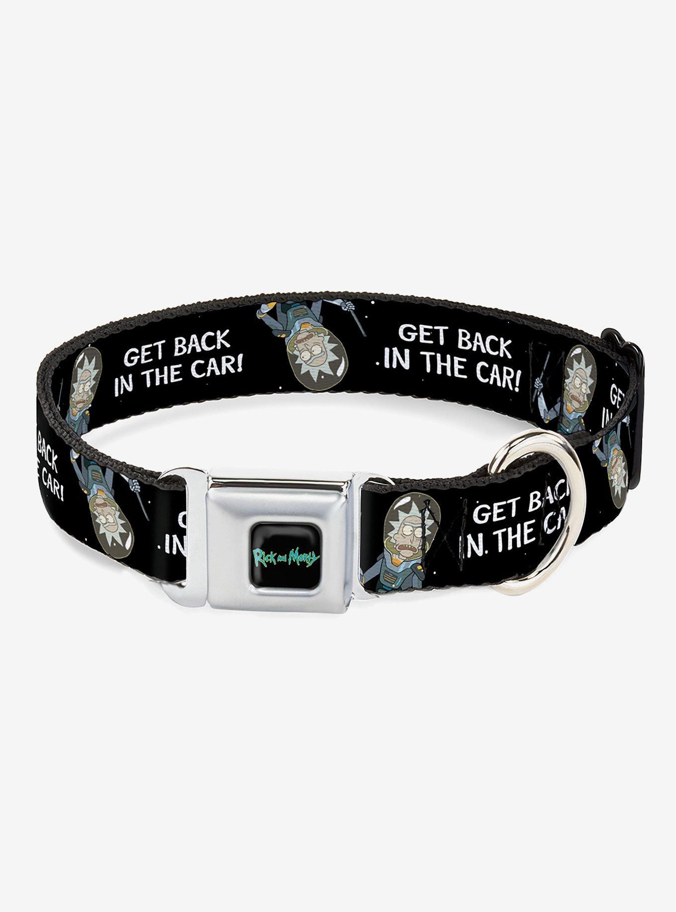 Rick and Morty Rick Get Back In The Car Pose Seatbelt Buckle Dog Collar, , hi-res