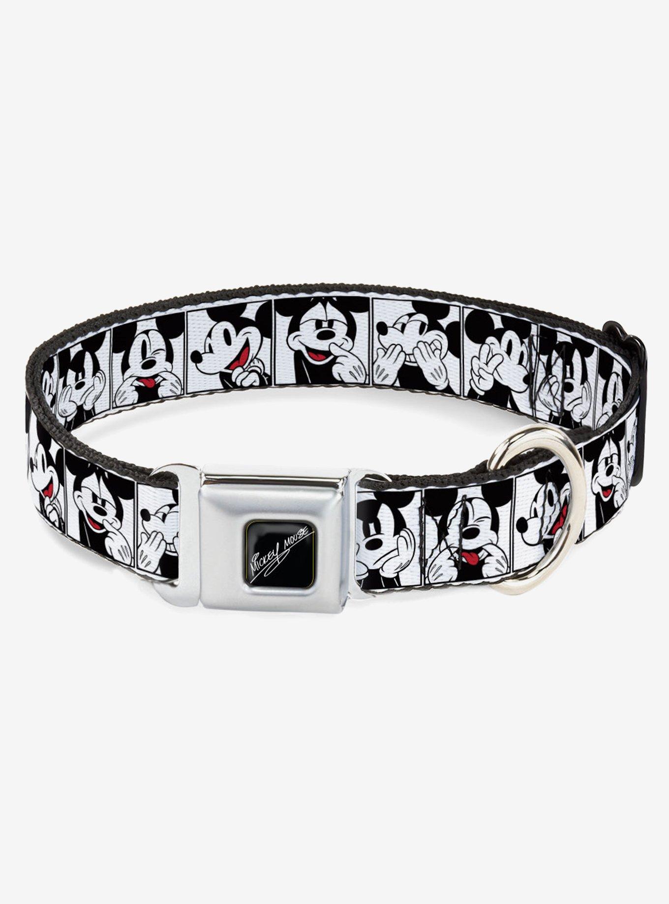Disney Mickey Mouse Expression Blocks Seatbelt Buckle Dog Collar, BRIGHT WHITE, hi-res