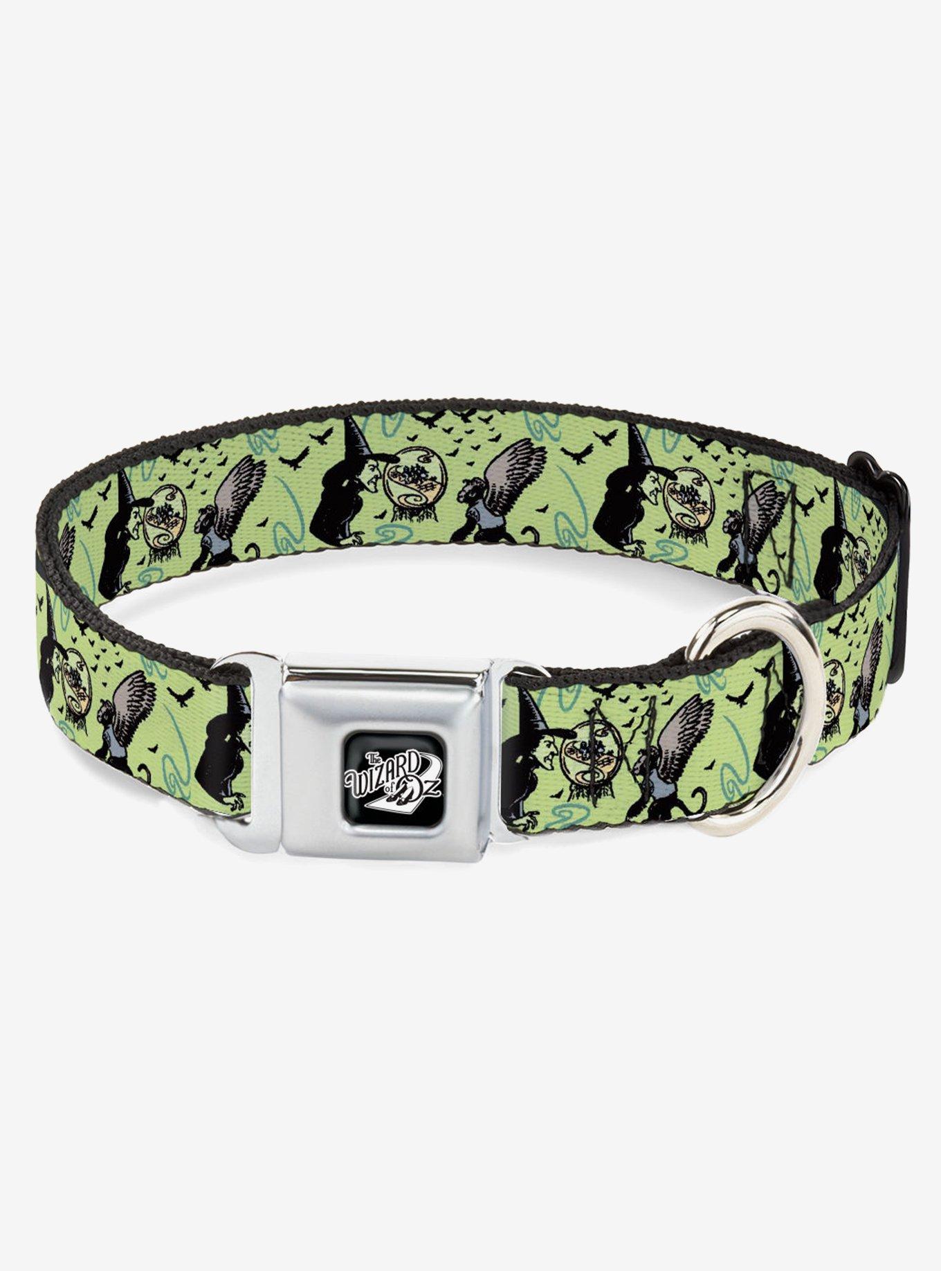 The Wizard of Oz Wicked Witch of the West Seatbelt Buckle Dog Collar, GREEN, hi-res