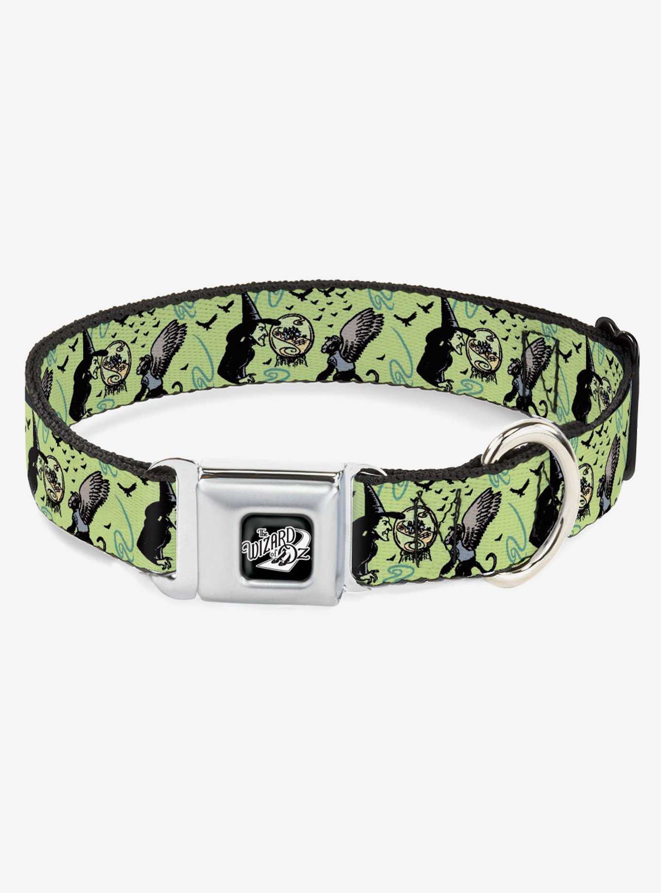 The Wizard of Oz Wicked Witch of the West Seatbelt Buckle Dog Collar, , hi-res