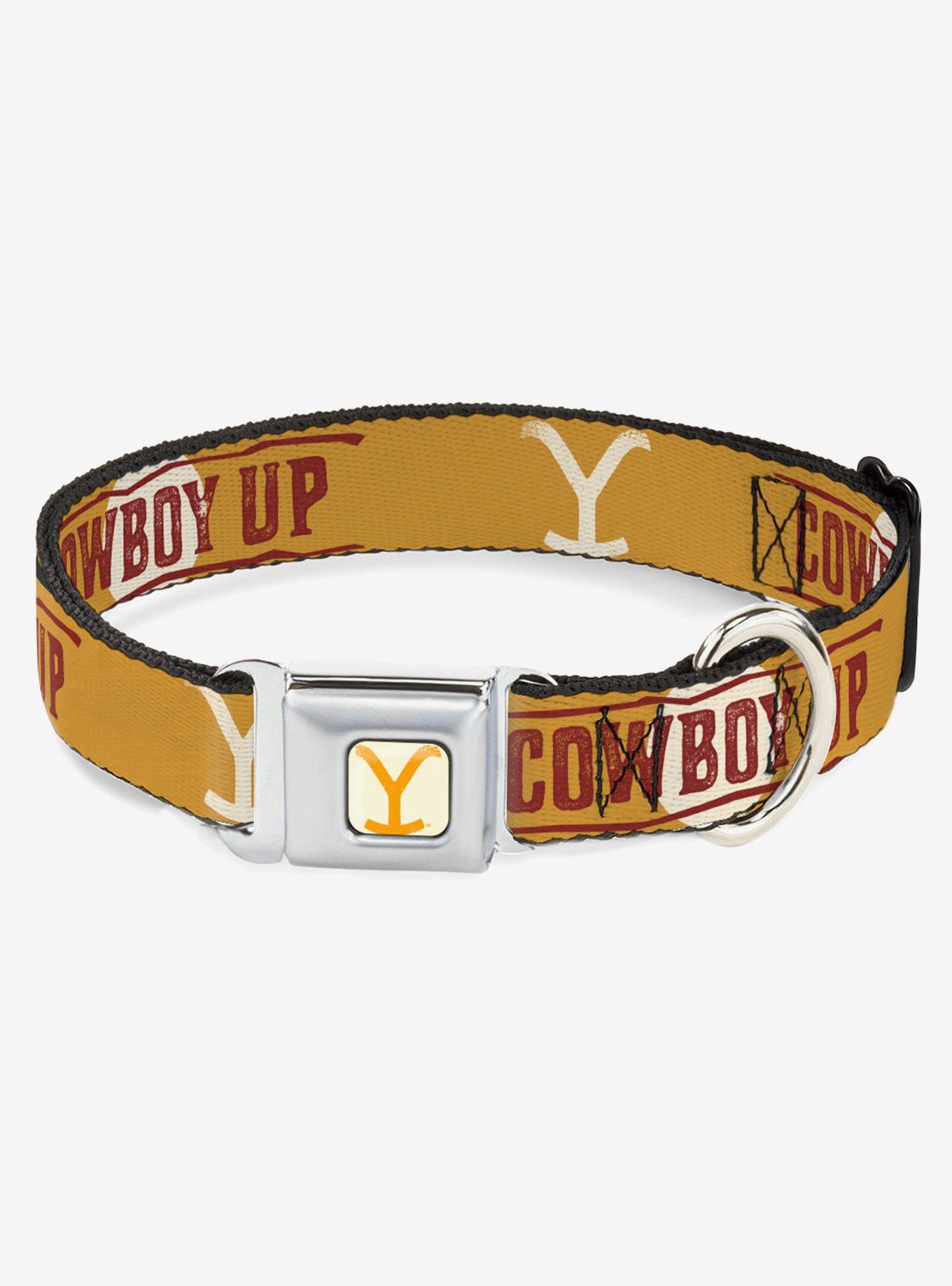Yellowstone Y Logo Cowboy Up Seatbelt Buckle Dog Collar, BRIGHT YELLOW, hi-res
