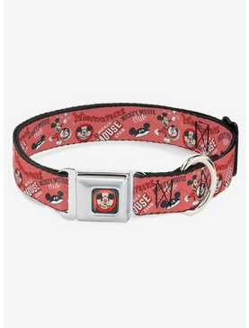 Disney100 Mickey Mouse Club Collage Seatbelt Buckle Dog Collar, , hi-res