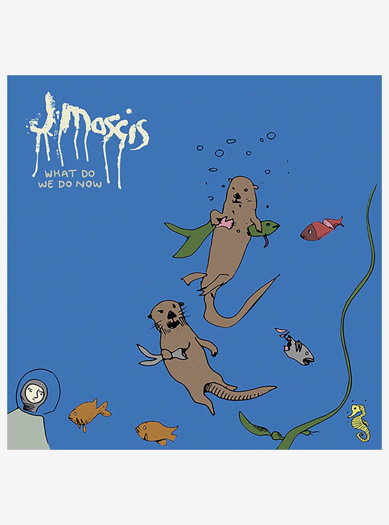 J Mascis What Do We Do Now Vinyl LP