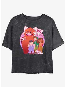 Disney Pixar Turning Red Panda Group Girls Mineral Wash Crop T-Shirt, , hi-res
