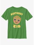 Marvel Guardians Of The Galaxy Birthday Kid Groot Youth T-Shirt, KELLY, hi-res