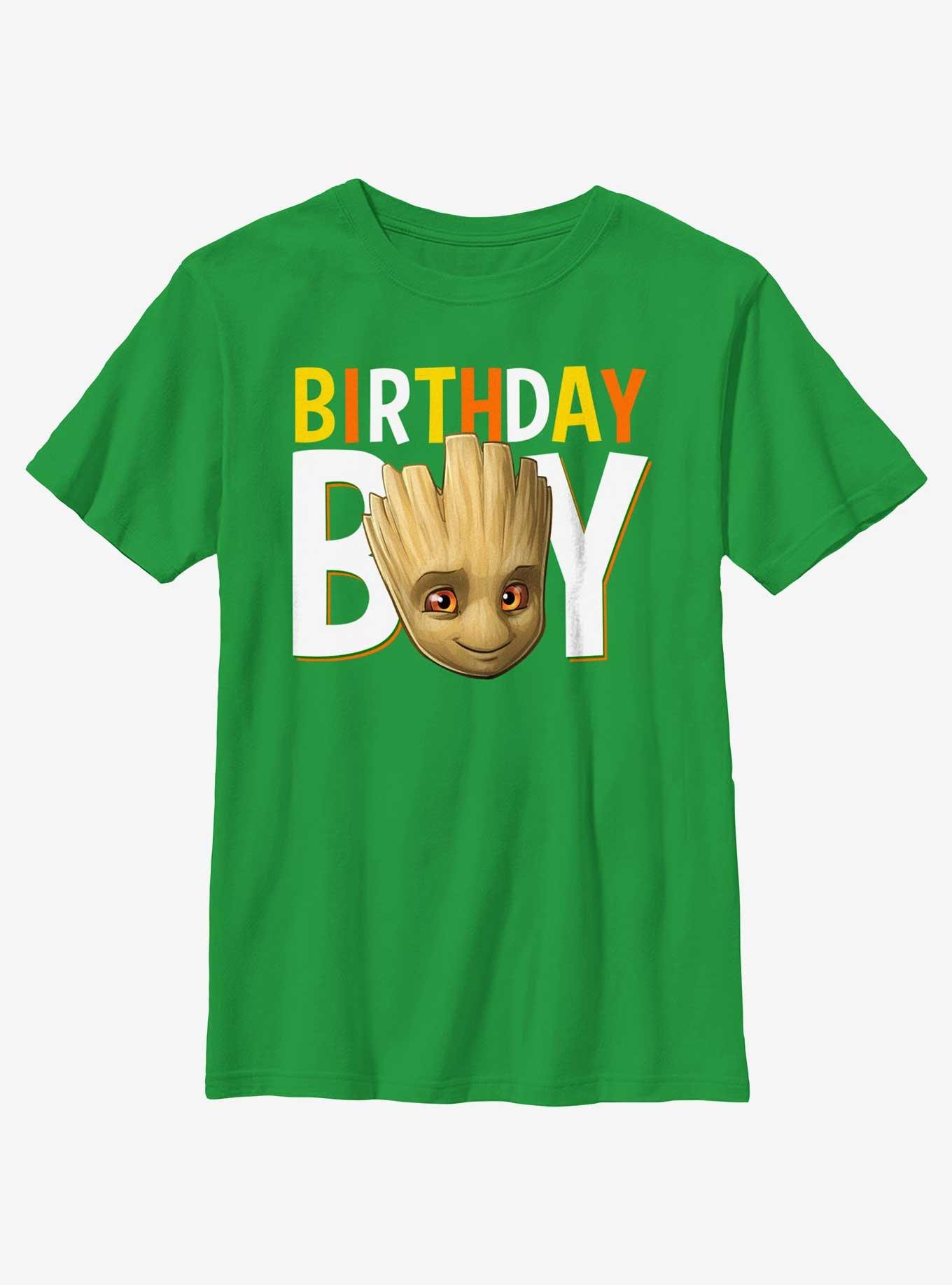 Marvel Guardians Of The Galaxy Birthday Boy Groot Youth T-Shirt