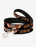 Gremlins 1984 Gizmo Face Close Up Dog Leash, BLACK, hi-res