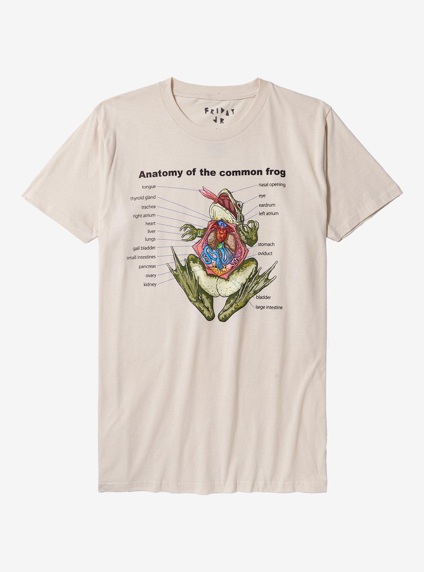 Frog Anatomy T-Shirt By Friday Jr, NATURAL, hi-res