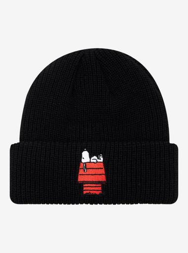 Peanuts Snoopy Doghouse Patch Beanie - BoxLunch Exclusive  display picture 2