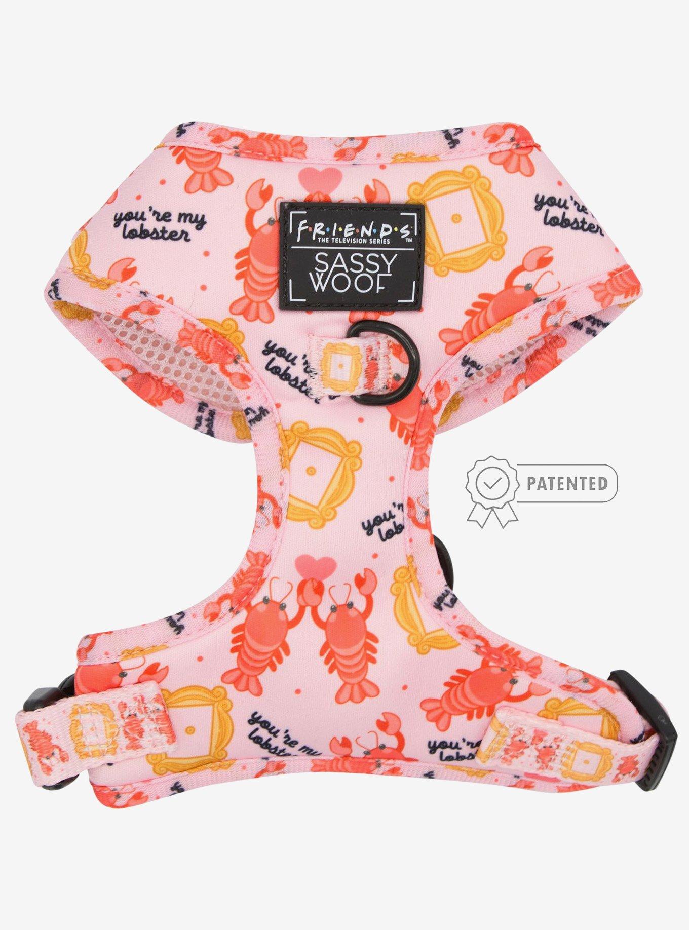 Friends x Sassy Woof You're My Lobster Adjustable Dog Harness, PINK, hi-res