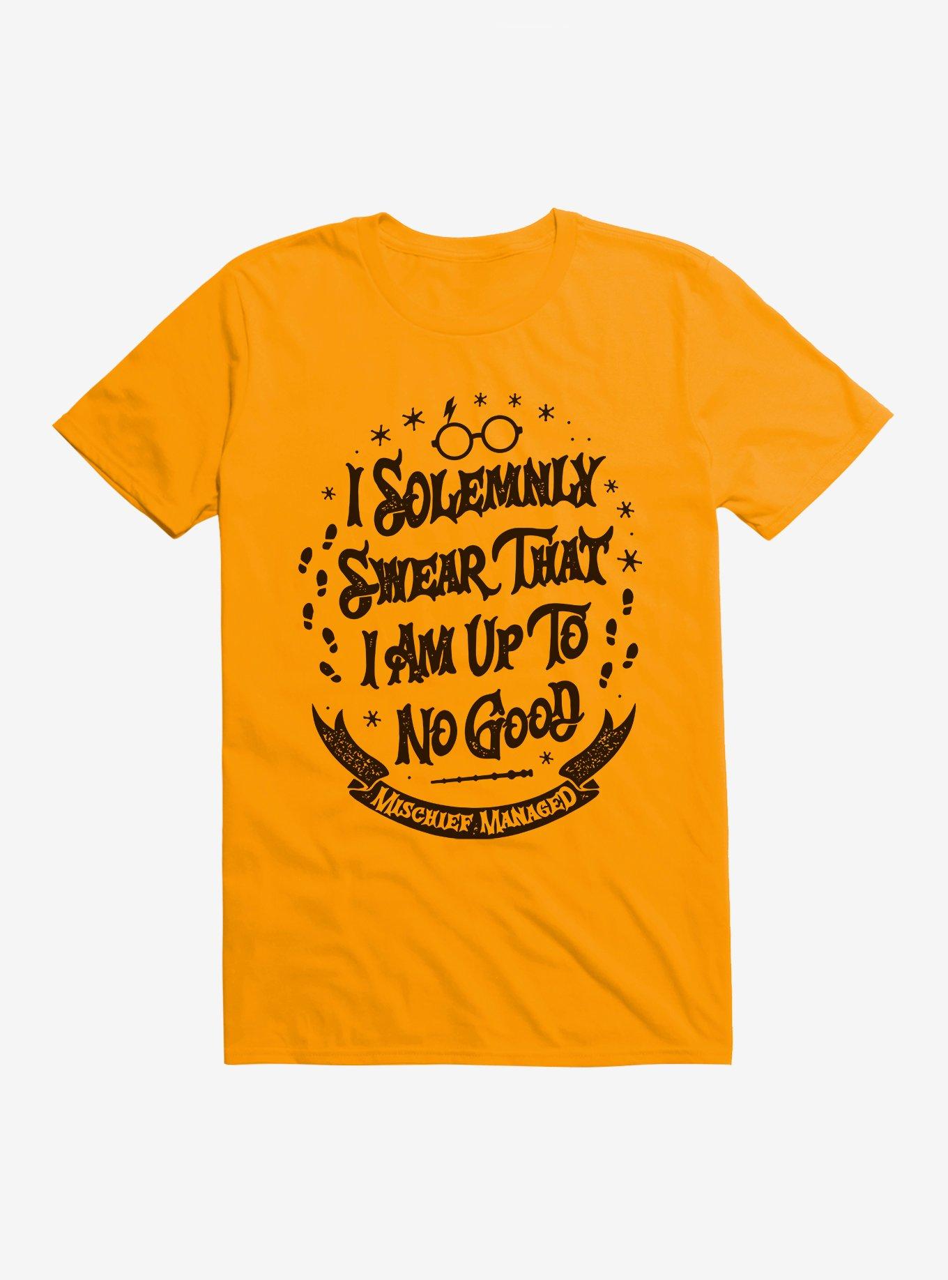 Harry Potter Solemnly Swear No Good T-Shirt