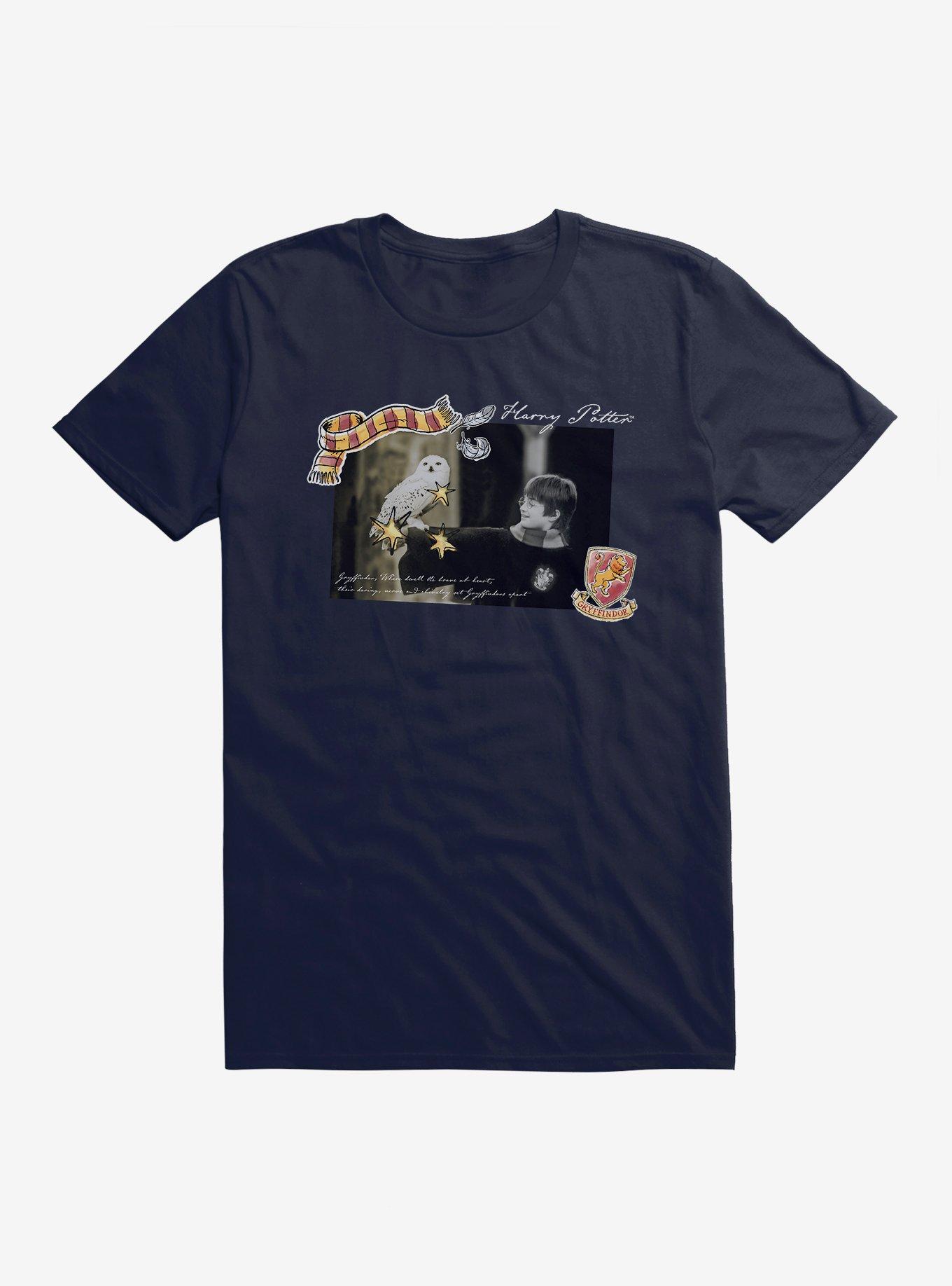 Harry Potter Hedwig And Harry T-Shirt, , hi-res