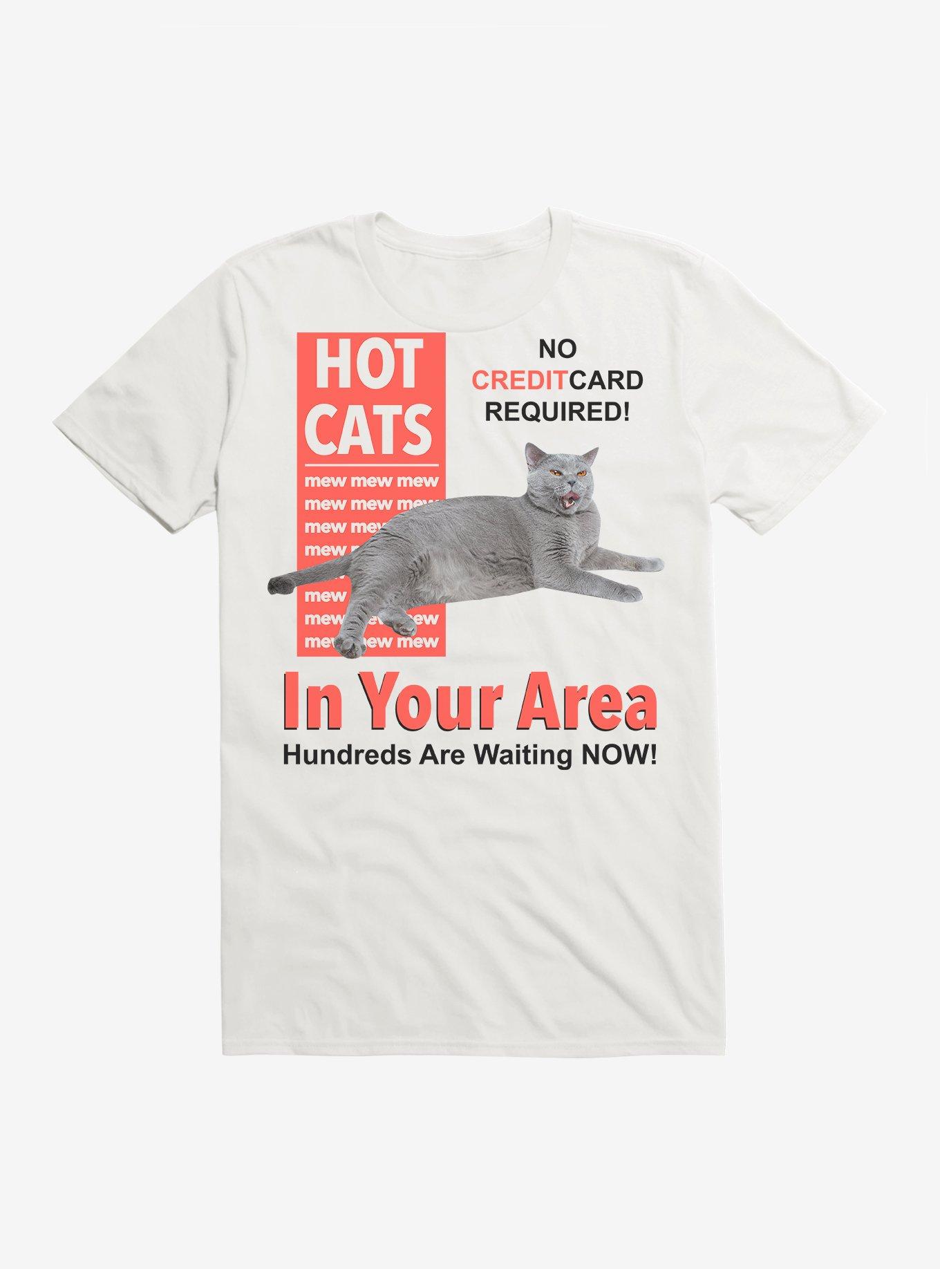 Hot Cats In Your Area T-Shirt, WHITE, hi-res