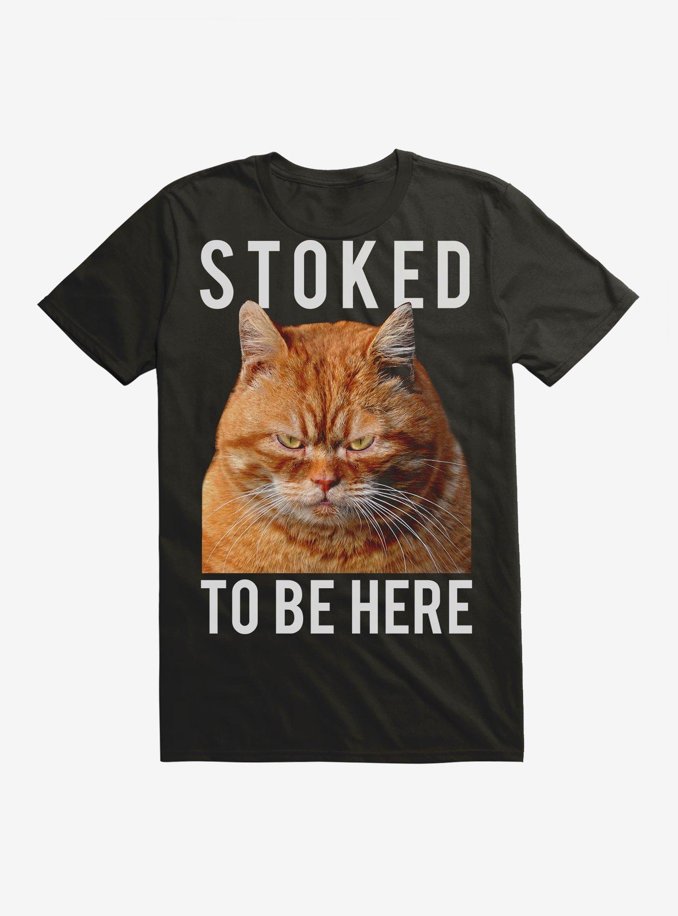 Stoked To Be Here Cat T-Shirt, BLACK, hi-res