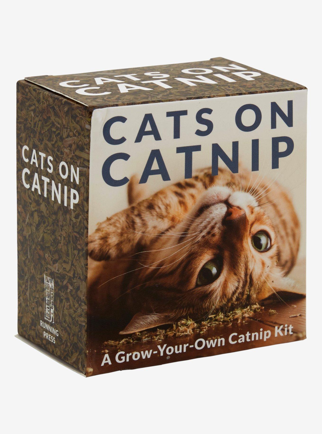 Cats on Catnip Grow-Your-Own Catnip Kit, , hi-res