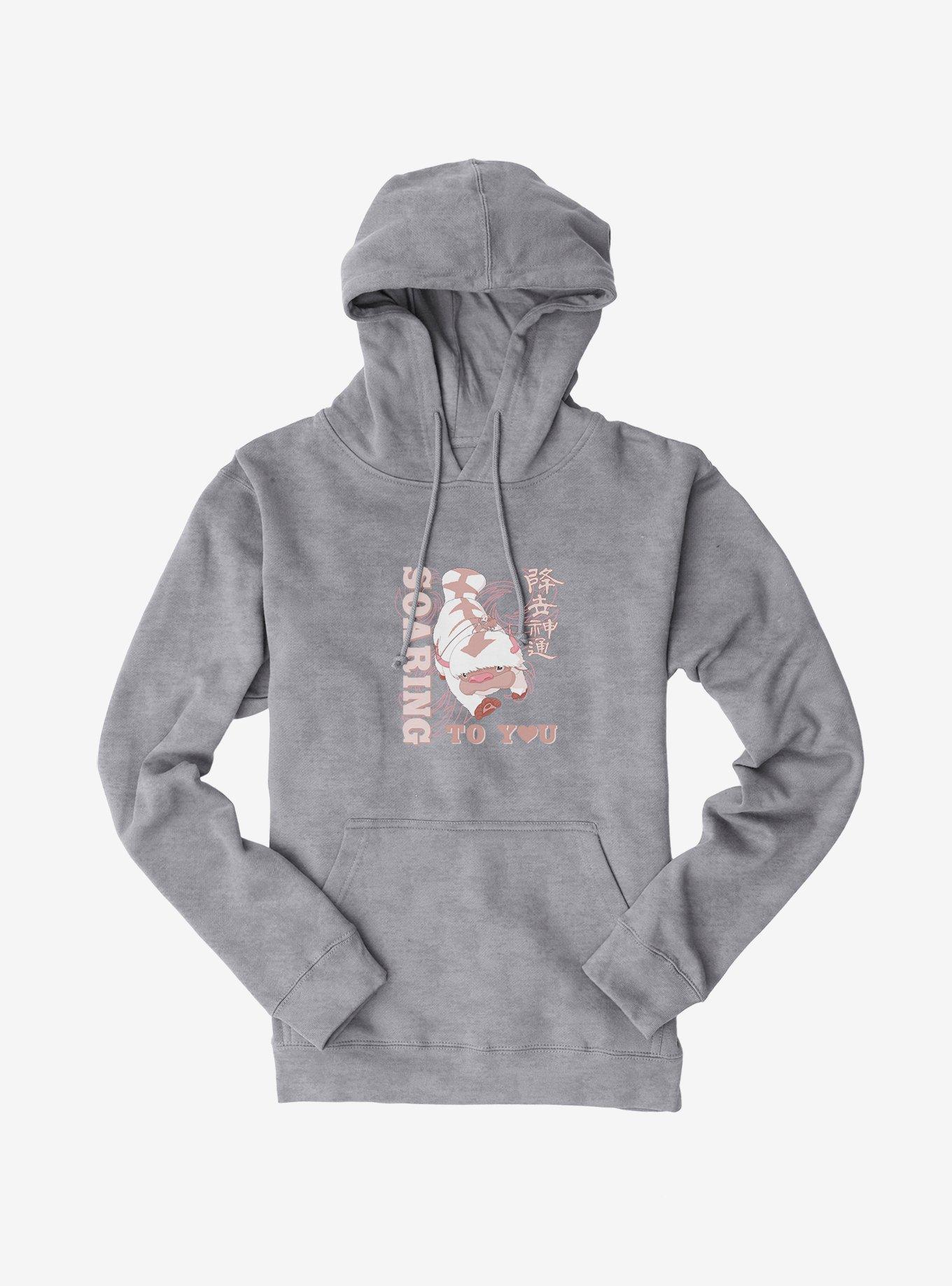 Avatar: The Last Airbender Soaring To You Hoodie, , hi-res