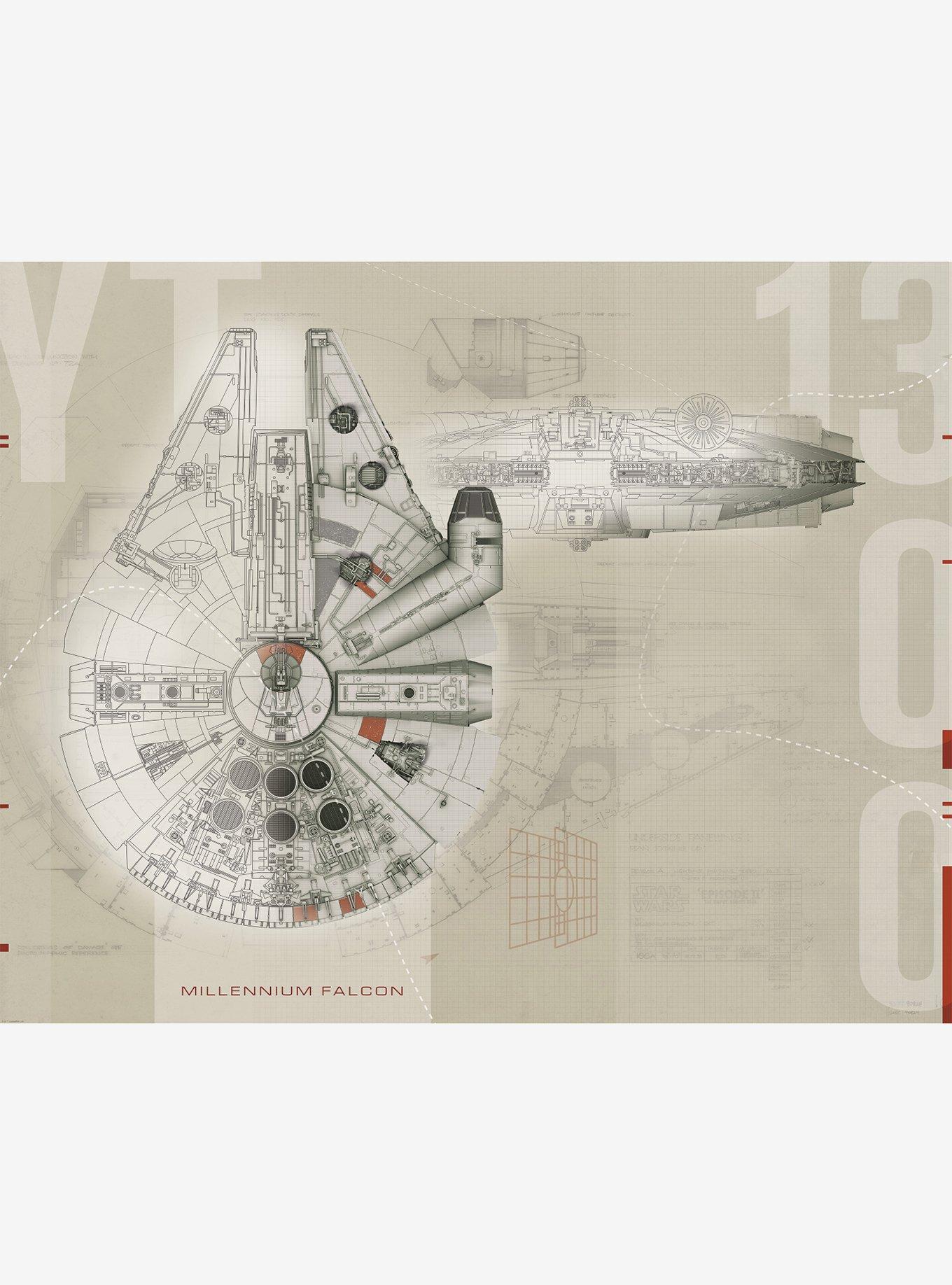 Star Wars Millennium Falcon Wall Mural, , hi-res