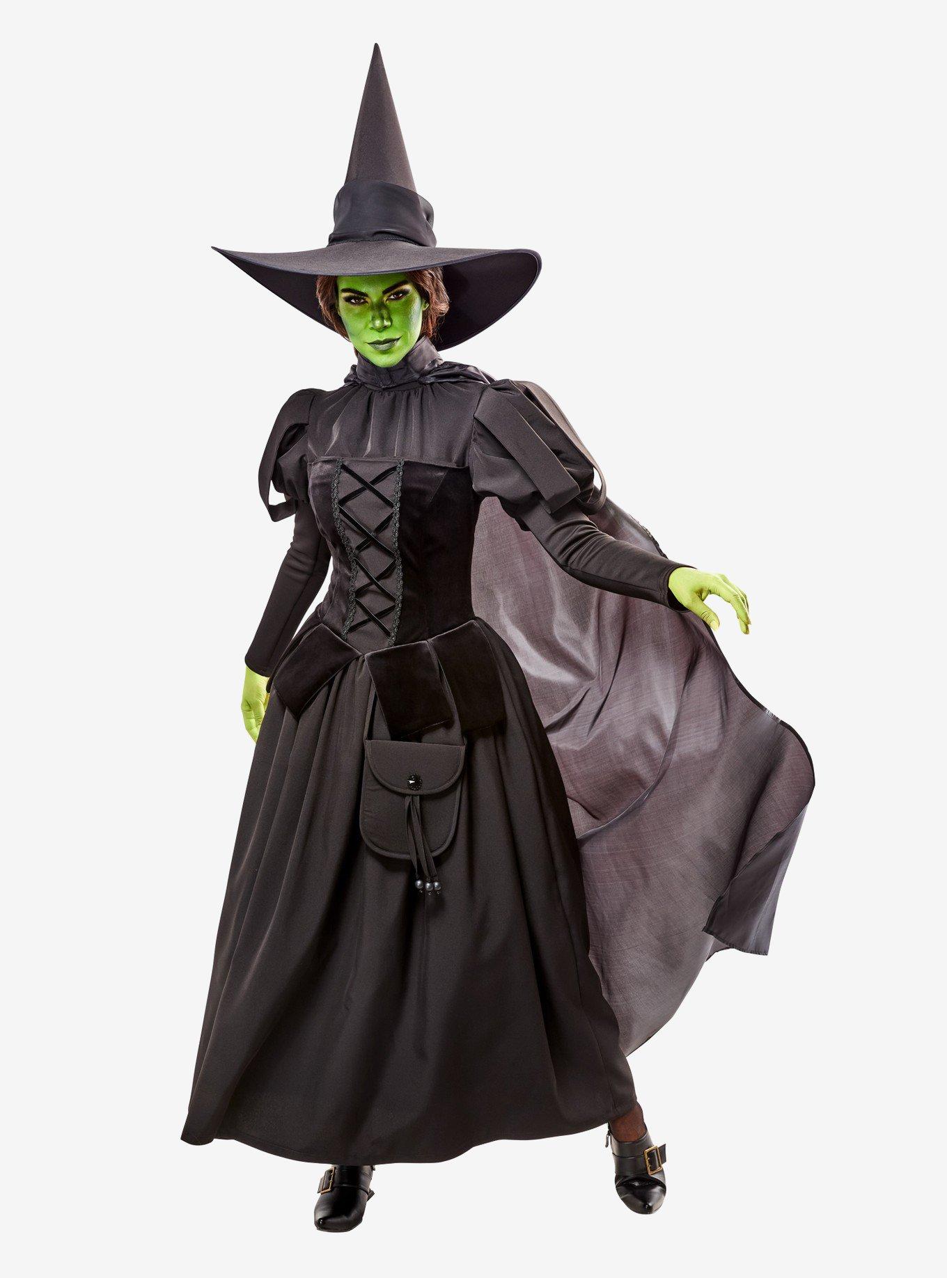 The Wizard of Oz Deluxe Wicked Witch Adult Costume, BLACK, hi-res