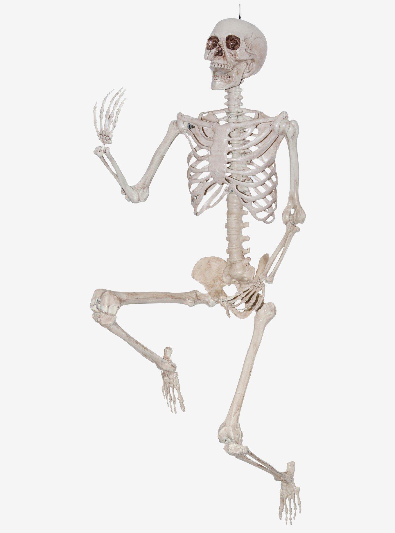 Skeleton Posable Hanging Decor, , hi-res