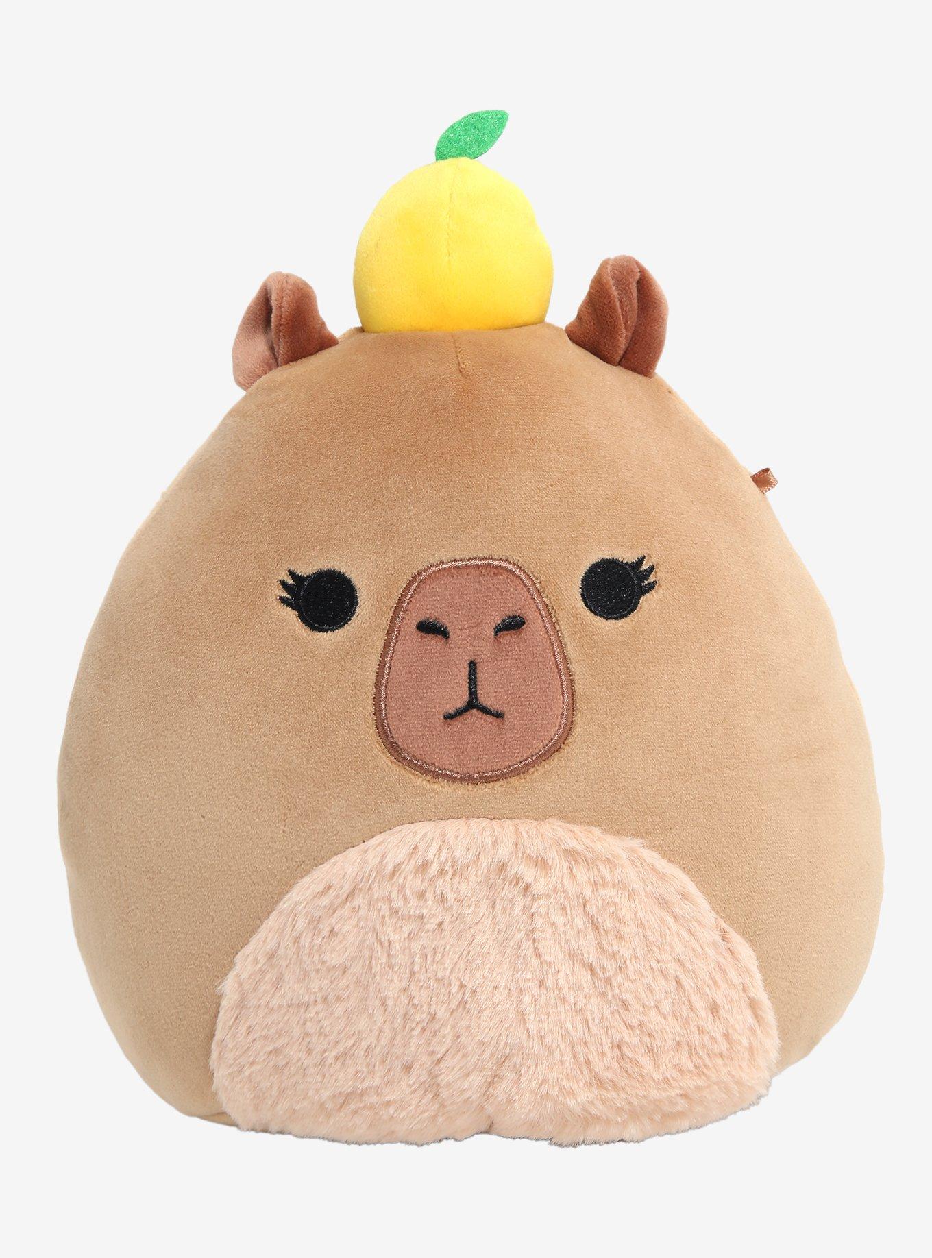 Squishmallows Lijjian The Capybara Plush 