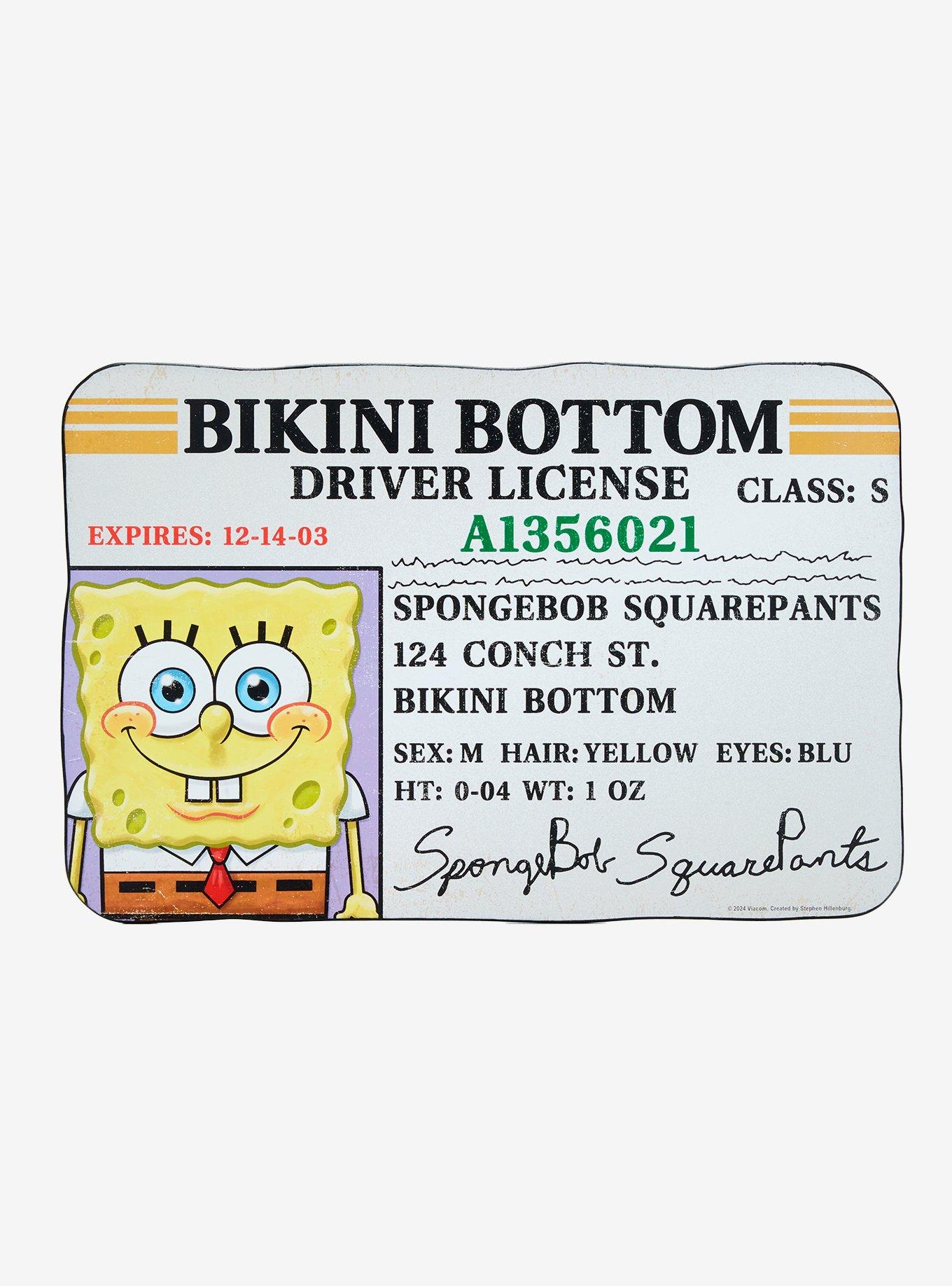 SpongeBob SquarePants Boating License Wall Art, , hi-res