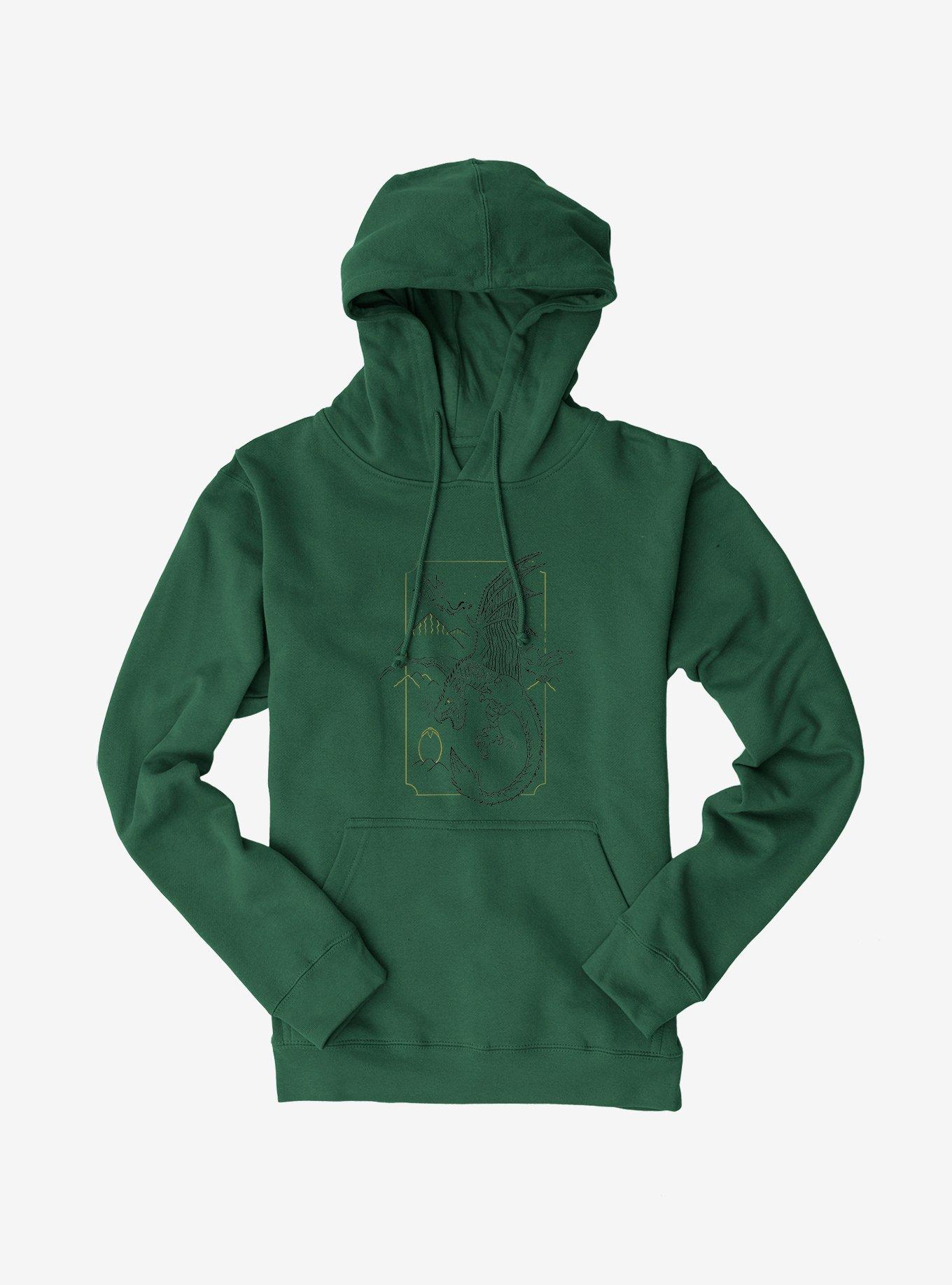 Harry Potter Dragon Flight Hoodie, , hi-res