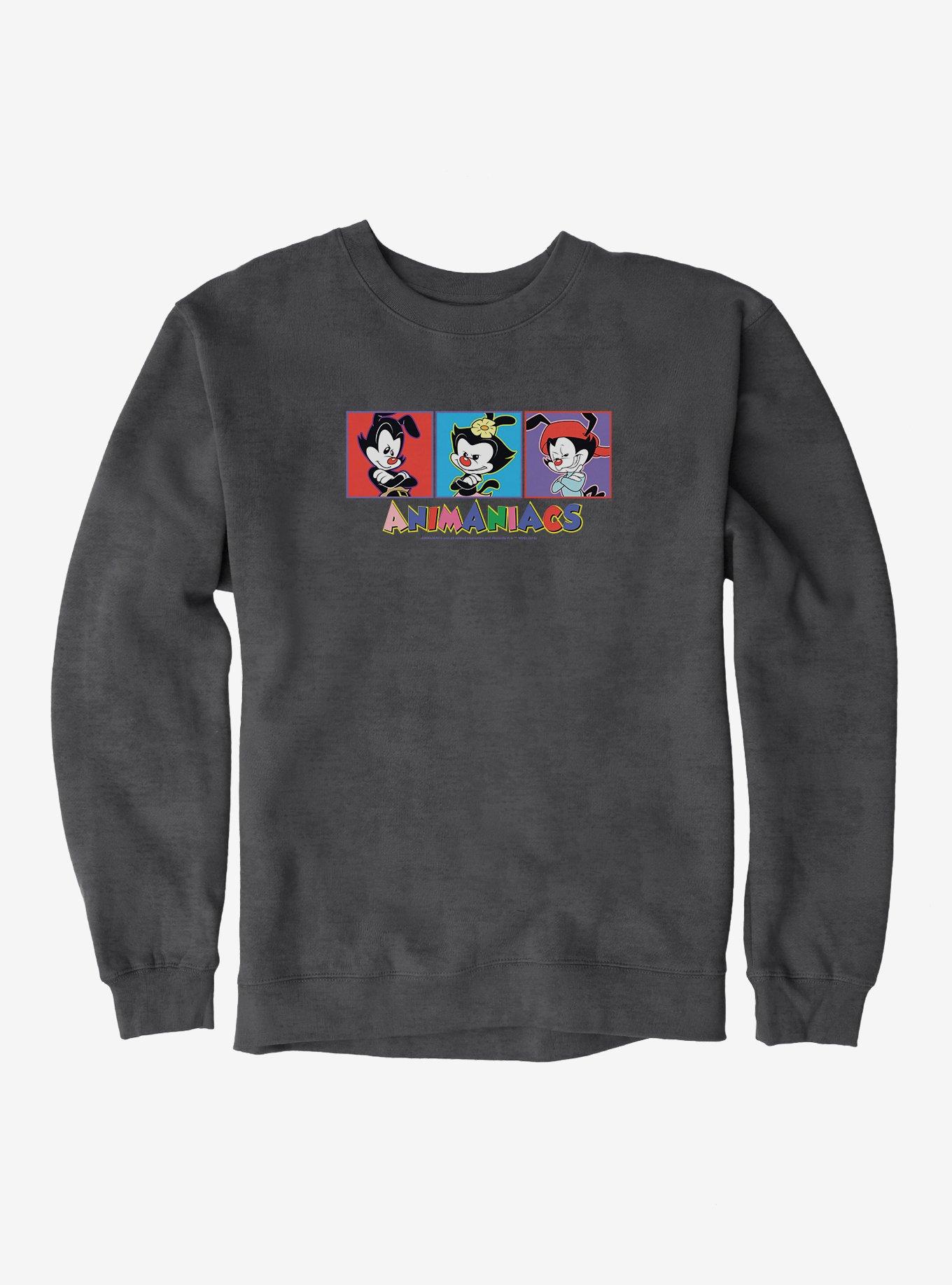 Animaniacs Yakko, Dot, And Wakko Sweatshirt, DARK HEATHER, hi-res