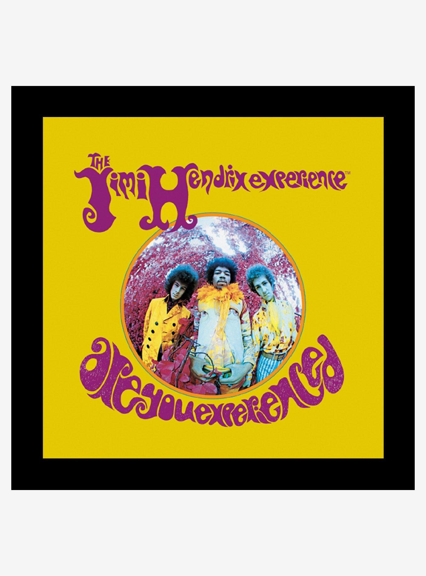 Jimi Hendrix Are You Experienced Wood Wall Art, , hi-res