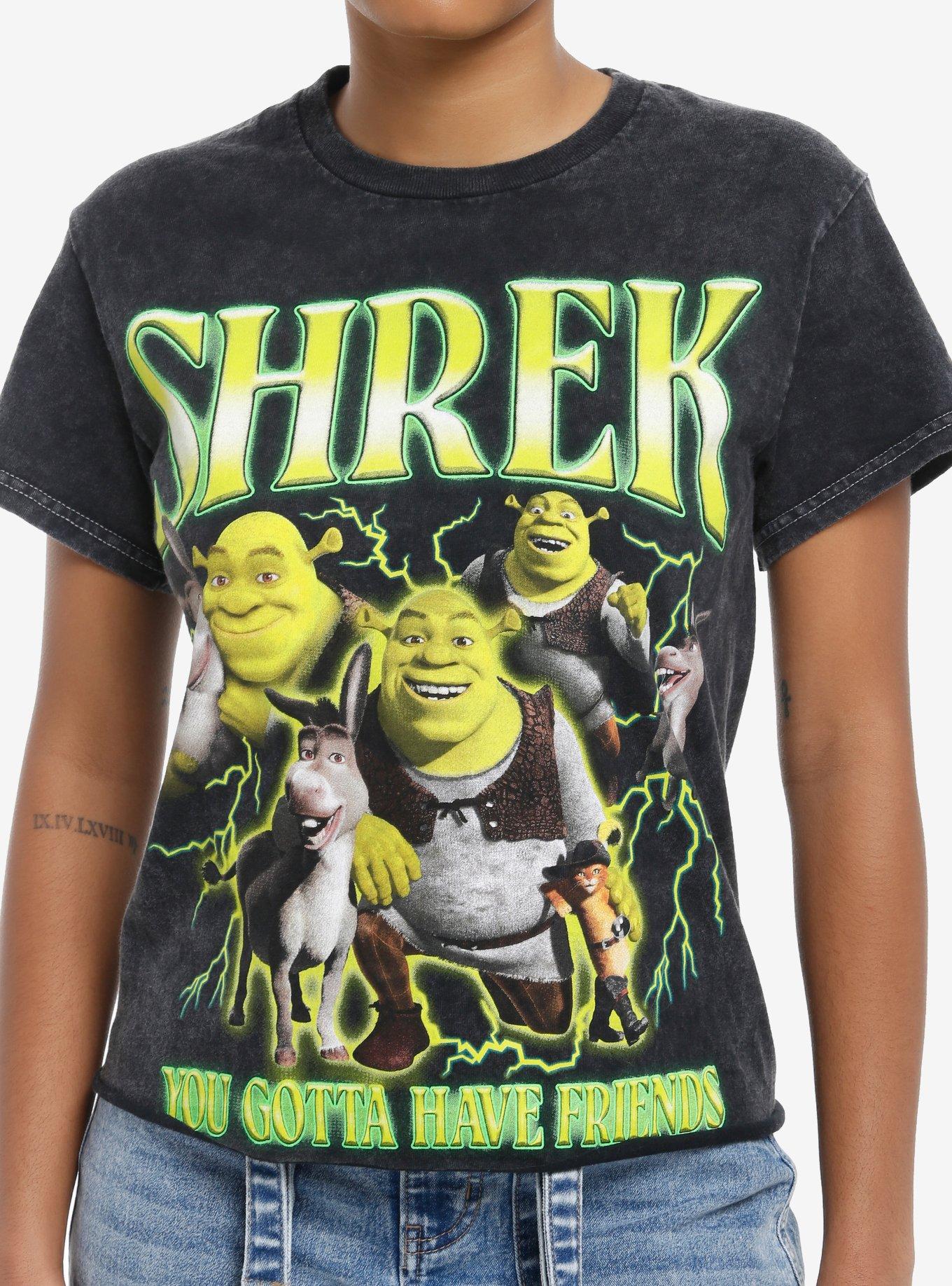 Shrek Friends Collage Dark Wash Girls Skimmer T-Shirt, , hi-res