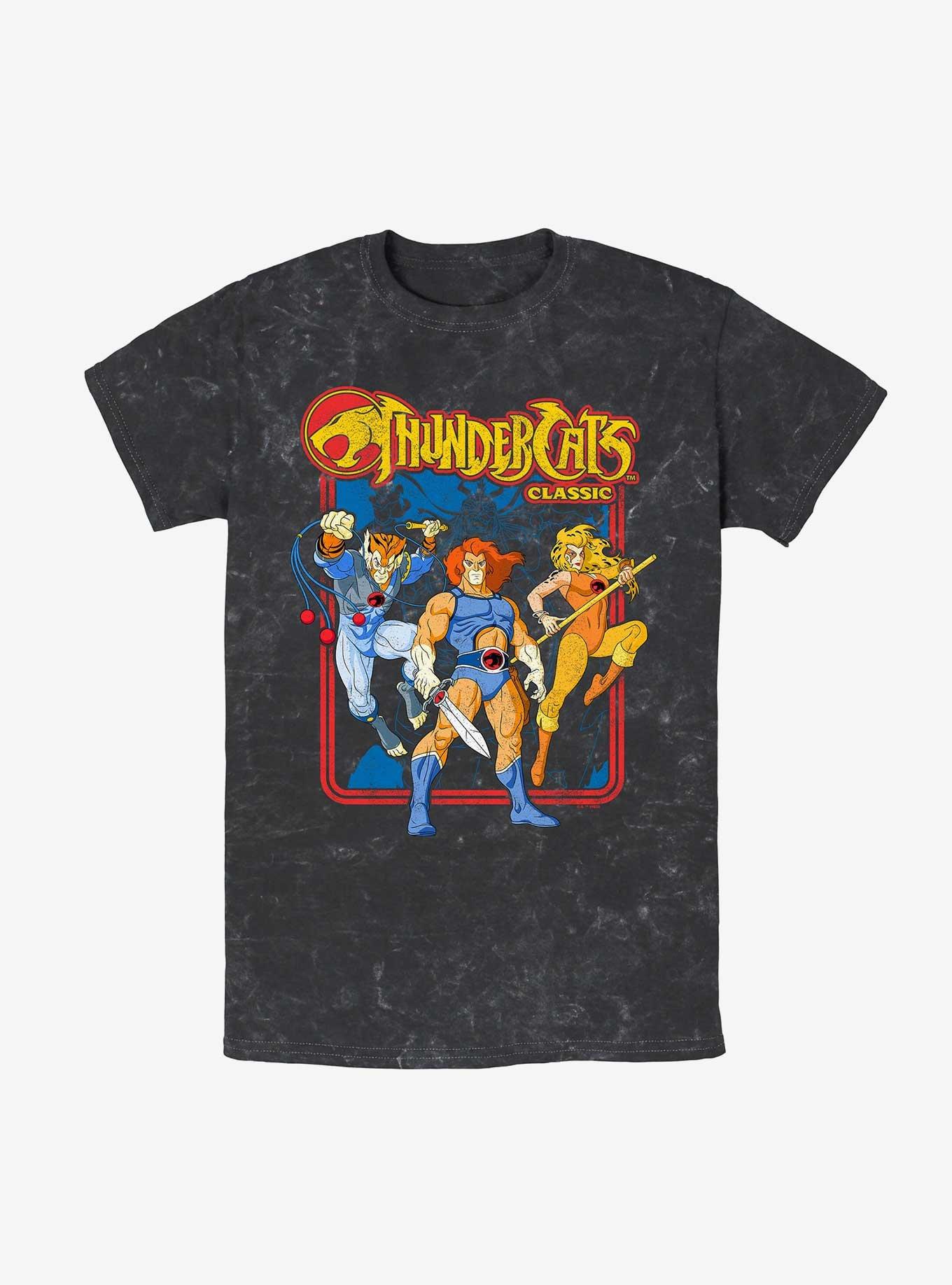 ThunderCats Retro Framed Mineral Wash T-Shirt, BLACK, hi-res